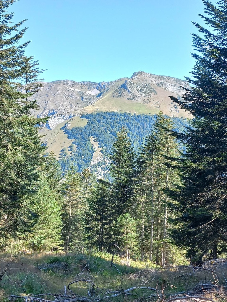 Découvrez la station le Mourtis